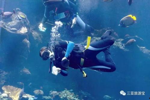 三亚房产爆料网最新消息,揭秘三亚房产爆料网最新爆料！